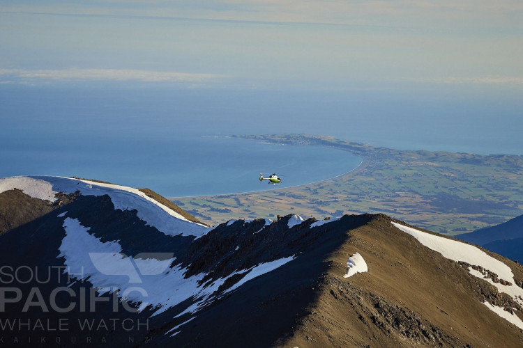 south pacific helicopters nz mount fyffe copy 1